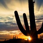 Tucson