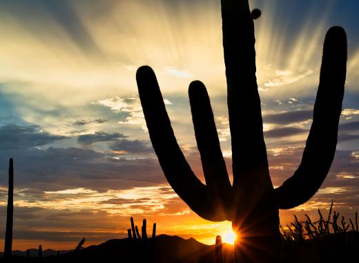 Tucson